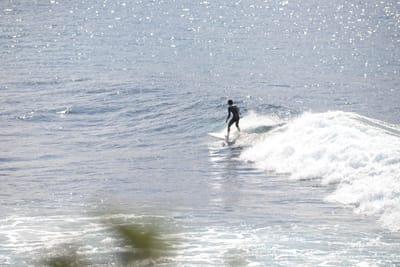 DSC_2866.JPG