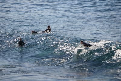 DSC_2867.JPG