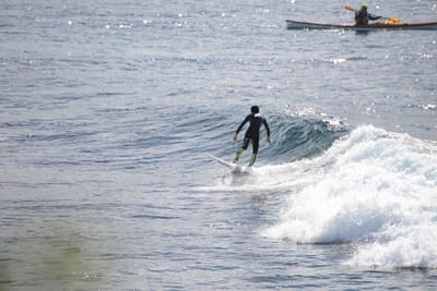 DSC_2873.JPG