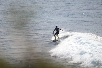 DSC_2874.JPG