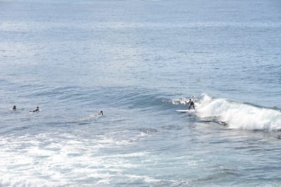 DSC_2876.JPG