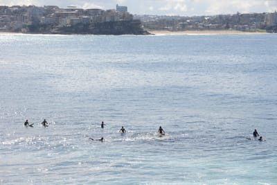 DSC_2877.JPG