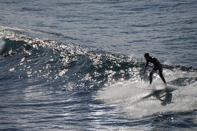 DSC_2880.JPG