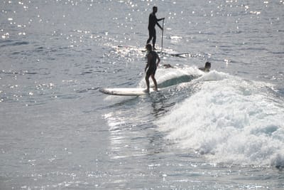 DSC_2882.JPG