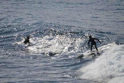 DSC_2883.JPG