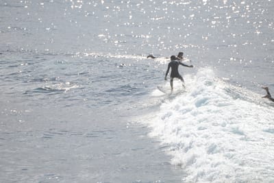 DSC_2884.JPG