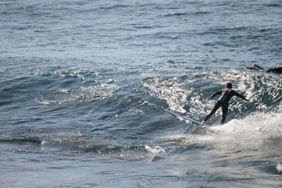 DSC_2885.JPG
