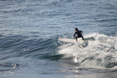DSC_2886.JPG