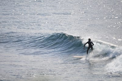 DSC_2888.JPG