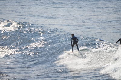 DSC_2889.JPG