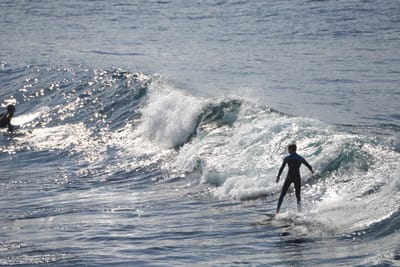 DSC_2890.JPG