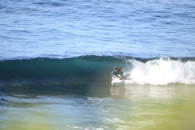 DSC_2892.JPG