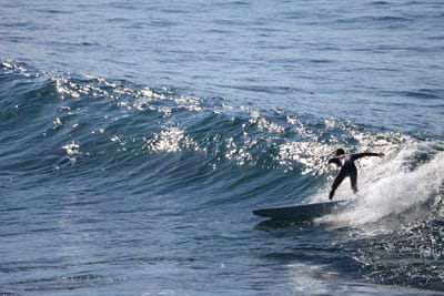DSC_2893.JPG