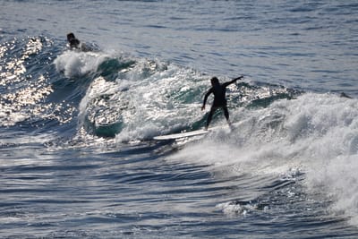 DSC_2895.JPG
