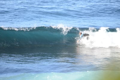 DSC_2899.JPG