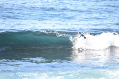 DSC_2900.JPG