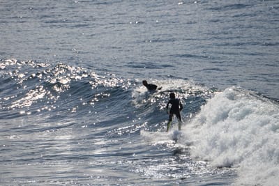 DSC_2901.JPG