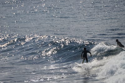 DSC_2902.JPG