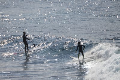 DSC_2903.JPG