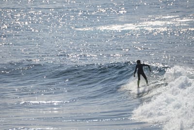 DSC_2905.JPG