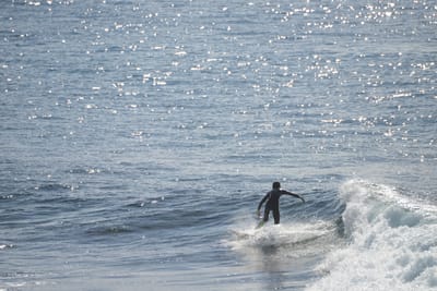 DSC_2906.JPG