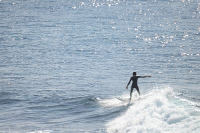 DSC_2907.JPG
