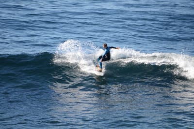DSC_2908.JPG