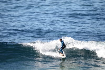 DSC_2910.JPG
