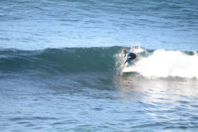 DSC_2911.JPG