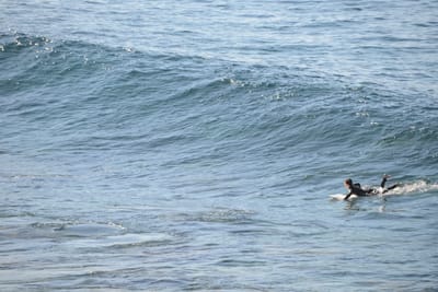 DSC_2912.JPG
