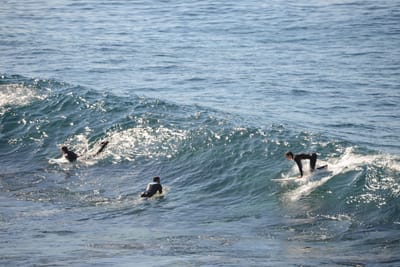 DSC_2913.JPG