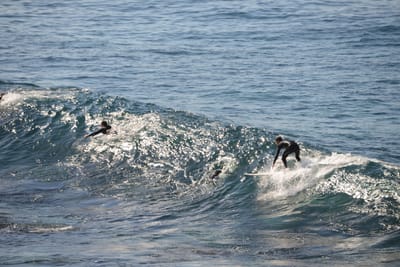 DSC_2914.JPG