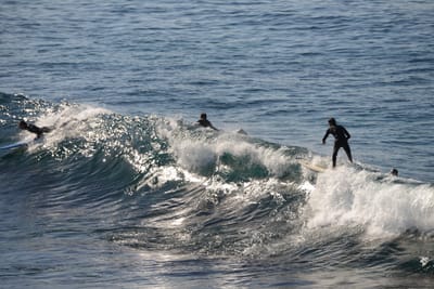 DSC_2915.JPG