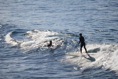 DSC_2918.JPG