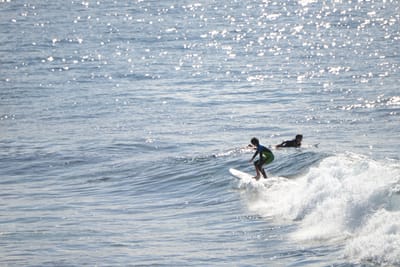 DSC_2923.JPG
