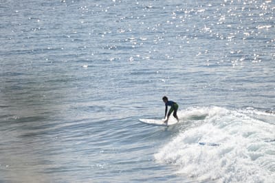 DSC_2924.JPG