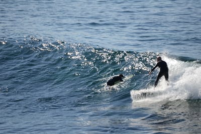 DSC_2925.JPG