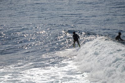 DSC_2927.JPG
