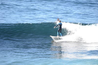 DSC_2929.JPG