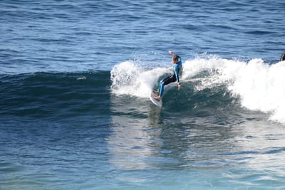 DSC_2930.JPG