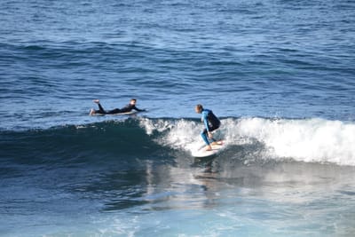 DSC_2932.JPG