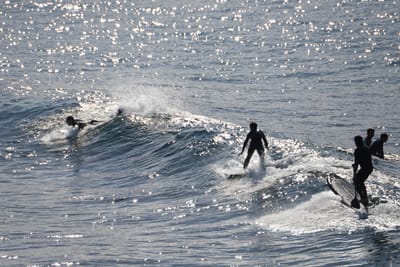 DSC_2933.JPG