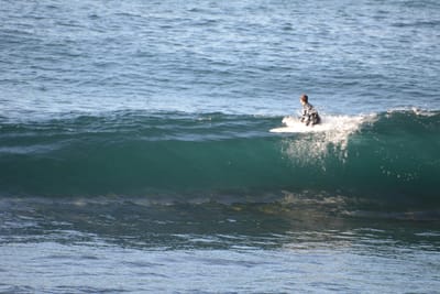 DSC_2934.JPG