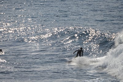 DSC_2935.JPG