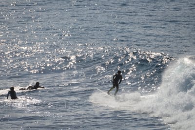 DSC_2936.JPG