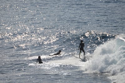 DSC_2937.JPG