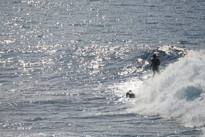 DSC_2938.JPG