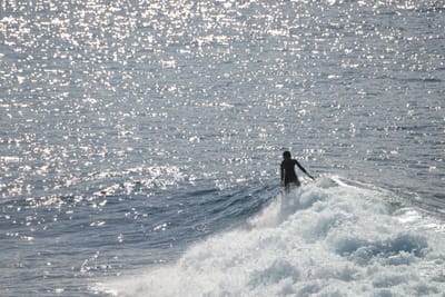 DSC_2939.JPG