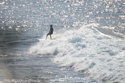DSC_2940.JPG