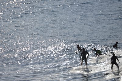 DSC_2943.JPG